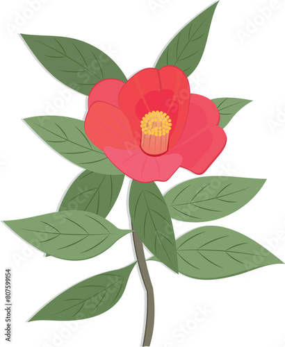  Red pink Japanese Camellia flowers isolated on white background. Vector illustration with petals, leaves. Floral design  for cosmetics, beauty care, greeting cards, logo, perfumery, aromatherapy.