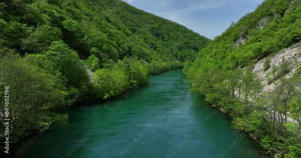 An untouched natural scene featuring a clear river flanked by newly green trees and a gentle sky, viewed from above. An untouched natural scene featuring a clear river flanked by newly green trees and a gentle sky, viewed from above.