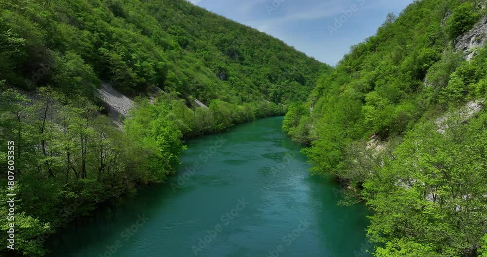 An untouched natural scene featuring a clear river flanked by newly green trees and a gentle sky, viewed from above. An untouched natural scene featuring a clear river flanked by newly green trees and a gentle sky, viewed from above.