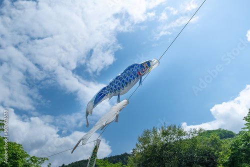 青空を泳ぐ鯉のぼり photo