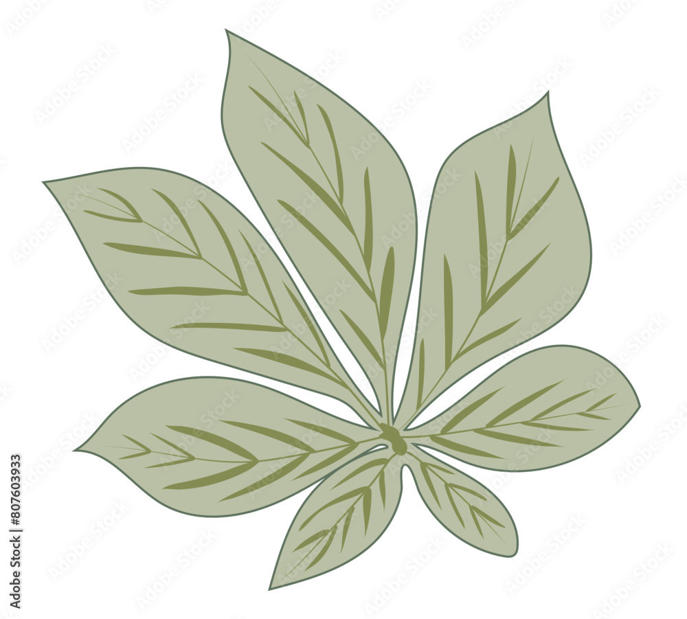 Green chestnut leaf with veins in flat design. Decorative tree foliage. Vector illustration isolated. Green chestnut leaf with veins in flat design. Decorative tree foliage. Vector illustration isolated.