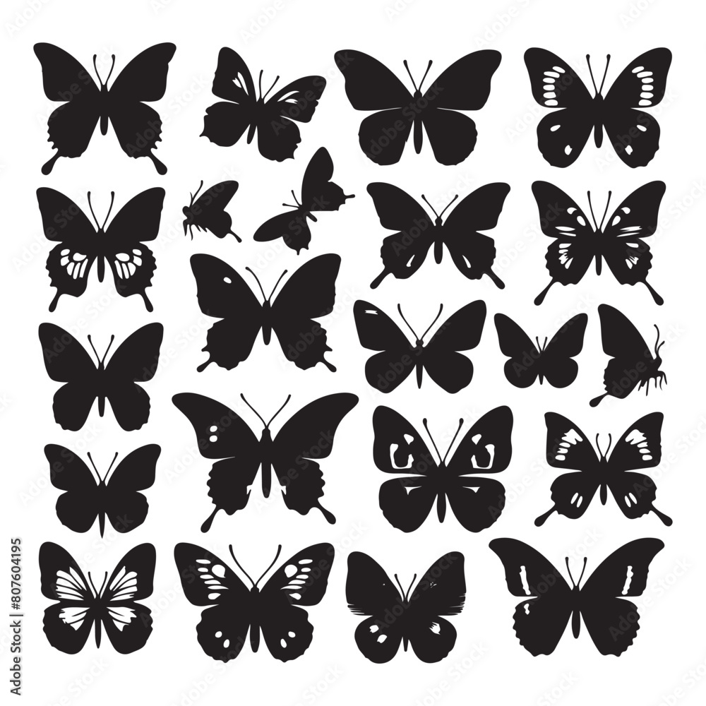 set of butterflies silhouette isolated on vector illustration white background 