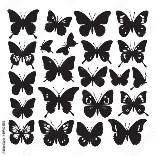 set of butterflies silhouette isolated on vector illustration white background 