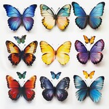 Assorted Colorful Butterflies Collection Isolated on White Background