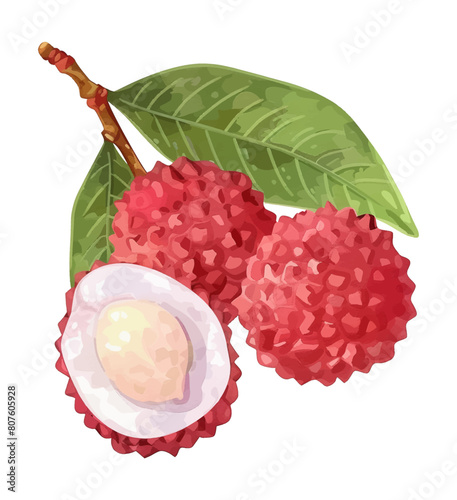 lychee fruit watercolor digital painting good quality