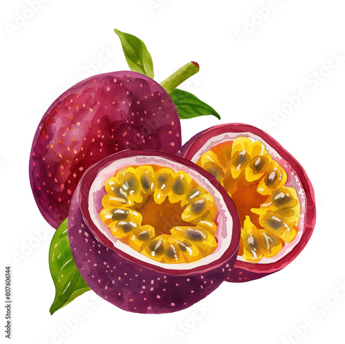 passion fruit watercolor digital painting good quality