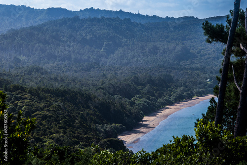 High view at the Cornwallis beach with Waitakere ranges at the distance photo