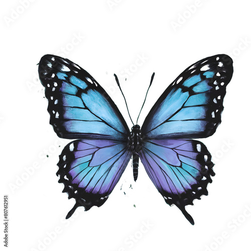 Half Dissipated Butterfly Sublimation Clipart 
