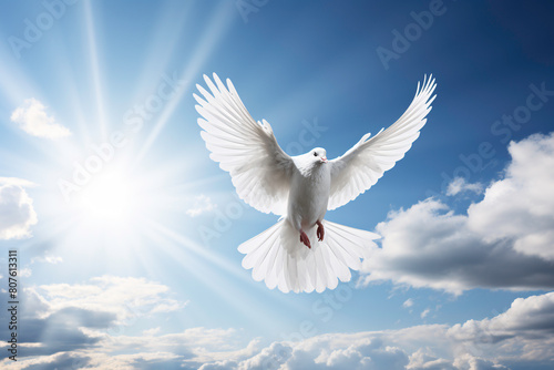 a white dove flying in the sky © TONSTOCK