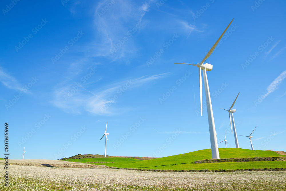 Wind turbine generators for green electricity production