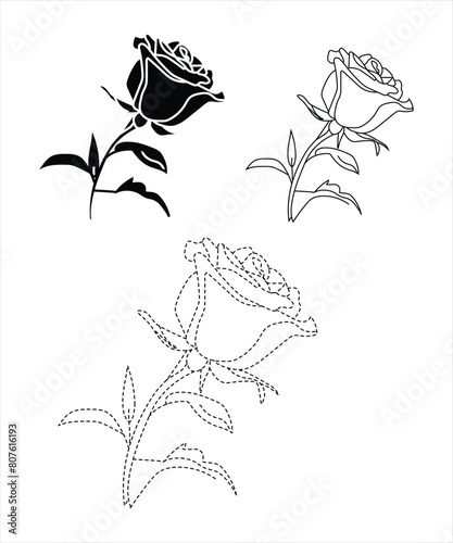 Rose Vector Line Art Illustration