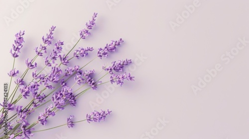 Elegant design poster with lavender flowers levitating  surrounded by negative space that enhances the plants symbolism of purity and silence