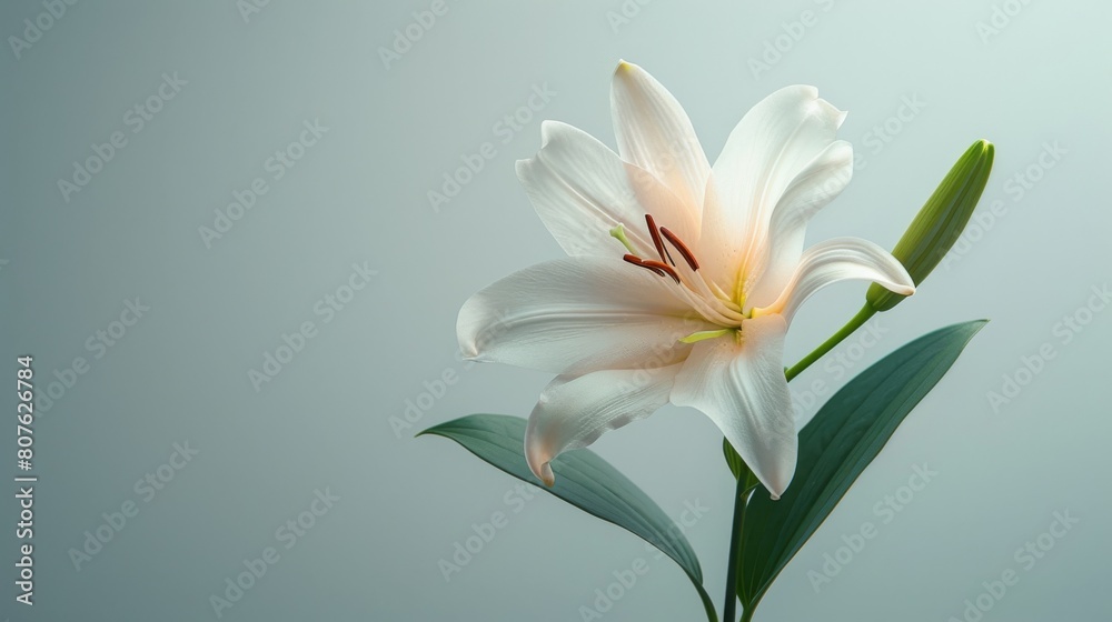 Creative visualization poster with a lily defying gravity, set against a clean, stark background for a dramatic visual impact