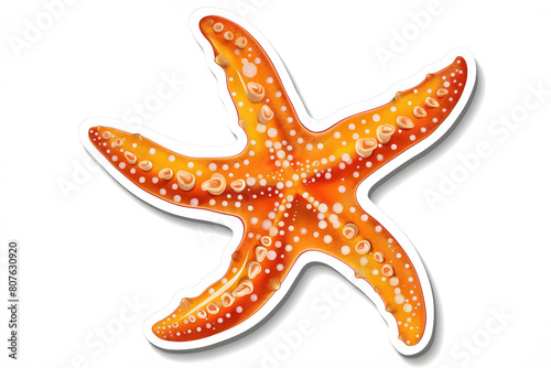 Beautiful starfish sticker isolated on white background. Summer concept photo
