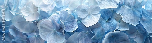 Abstract representation of hydrangea petals segmented and floating freely  using negative space to creatively explore the flowers intricate beauty