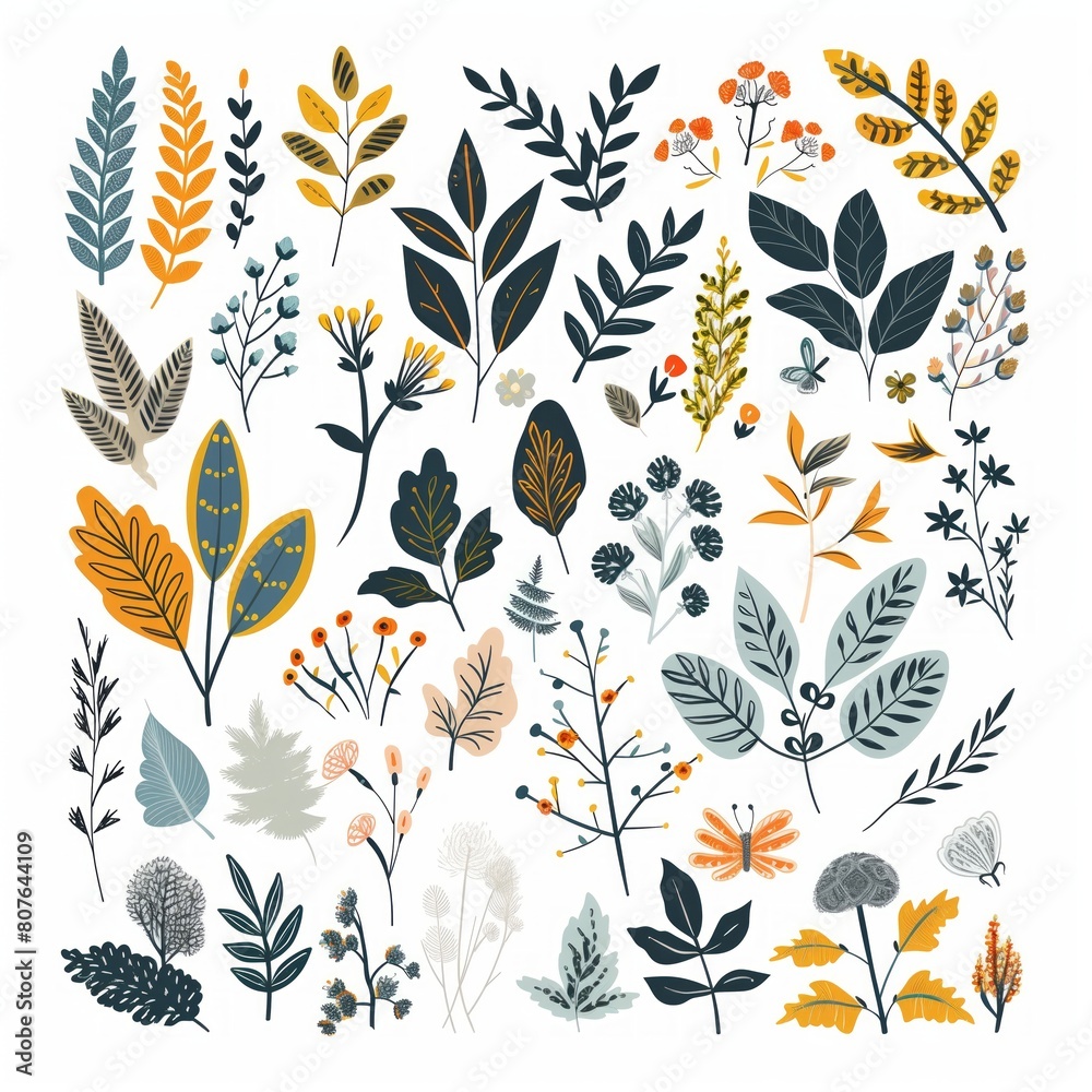 Colorful Hand-Drawn Botanical Illustrations Set on White Background Colorful Hand-Drawn Botanical Illustrations Set on White Background