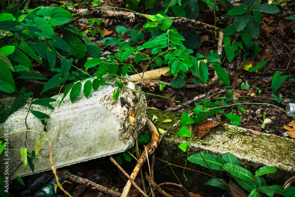 Obraz premium An old and damaged concrete wall on the ground is covered with dry grass
