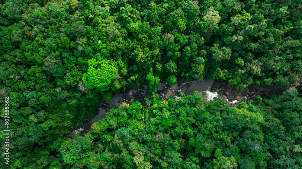 Aerial view of mixed forest, deciduous trees, greenery and waterfalls flowing through the forest. The rich natural ecosystem of rainforest concept is all about conservation and natural reforestation	
