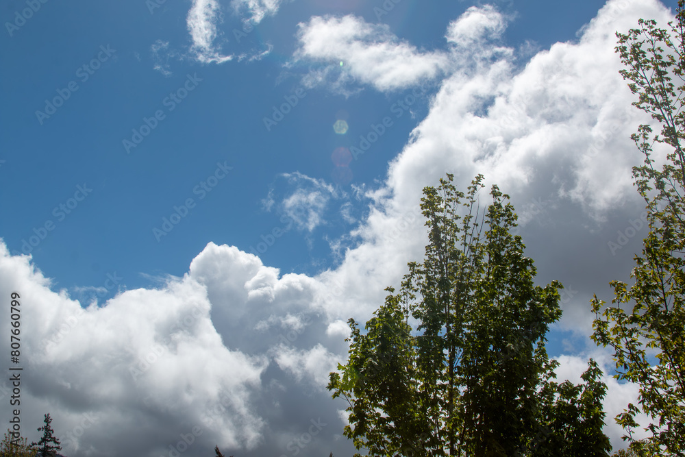 clouds in the sky clouds in the sky