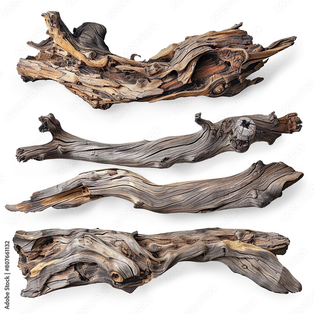 Set of driftwood isolated on a transparent background 


