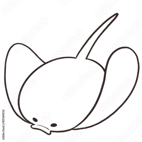 Ocean sea animal coral cartoon