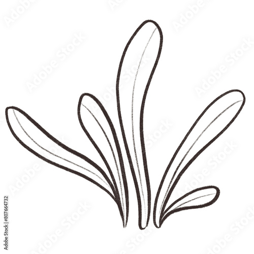 Ocean sea animal coral cartoon