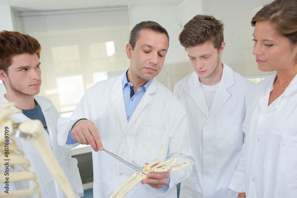 Obraz premium Medical students looking at skeleton