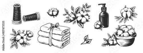 Cotton plant, thread skein, textile, cotton oil and spool. Cotton flower bloom, needle and fabric set. Hand drawn vector sketch in engraving style for for packing, labels, prints, cotton production