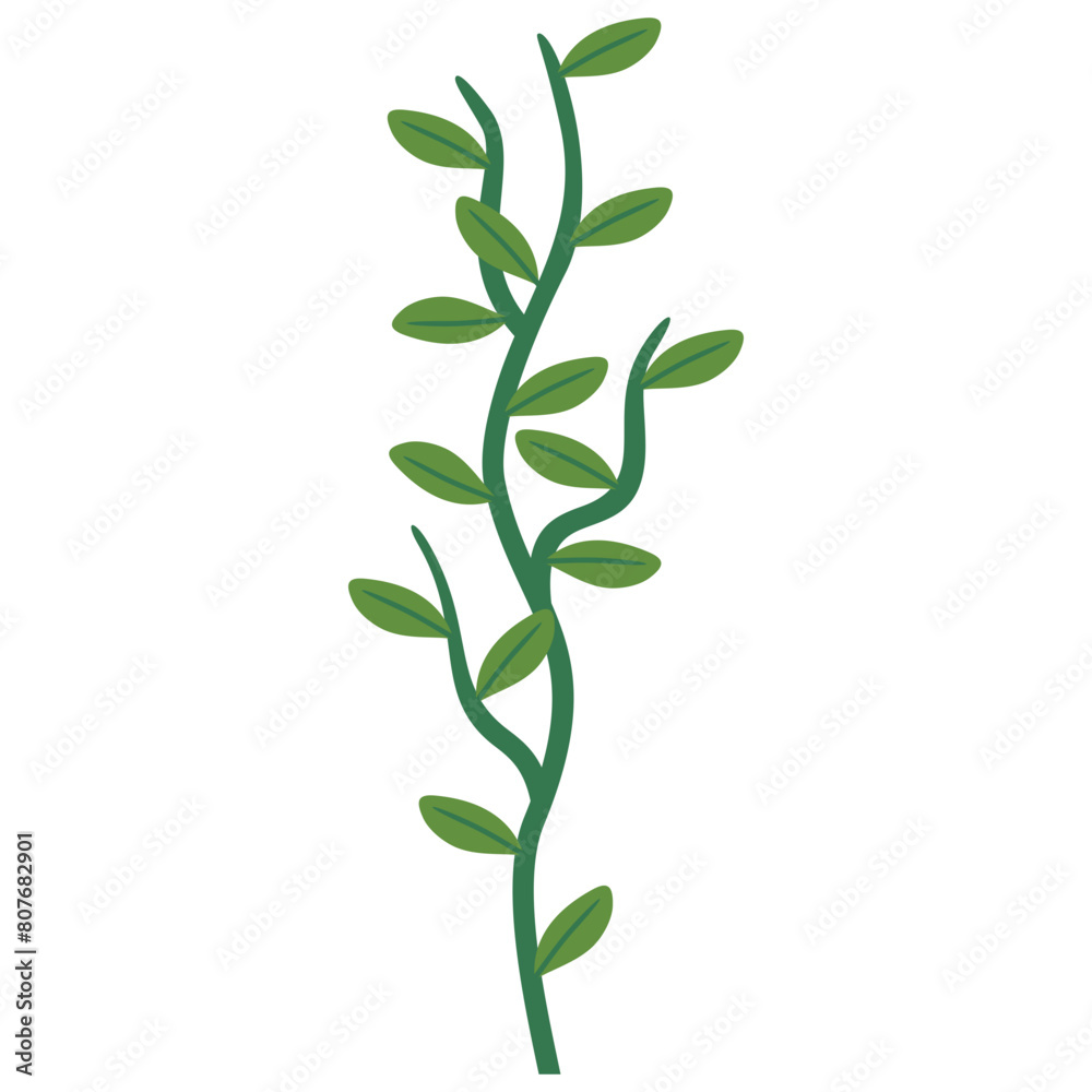 Fototapeta premium Vines Illustration Vector