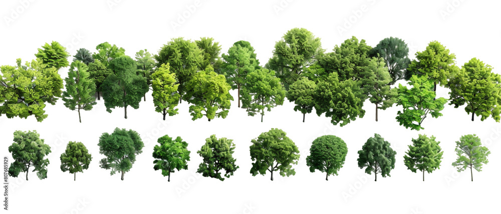 Fototapeta premium Green trees isolated PNG transparent background