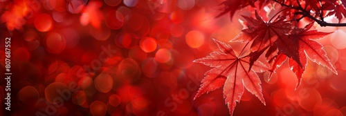 Close-up of vibrant red maple leaves against a soft bokeh background highlighting the beauty of autumn