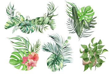Papier peint photo Jungle Feuille monstera géante fond blanc épurée  © Krishan