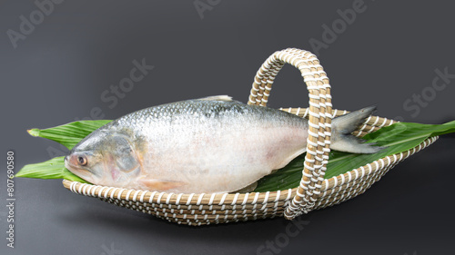 A Whole Hilsha fish in a boat-shaped handmade basket used as a gift hamper in festive occasions such as Jamai Shashthi, Pohela boishakh. photo