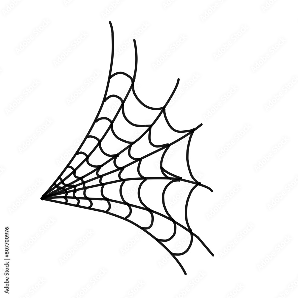 spider web line vector