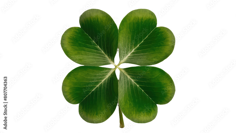 isolated green leaf, GENERATIVE AI