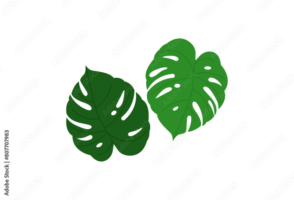 Summer palm leaf vector green plant,2 . Vector illustration Summer palm leaf vector green plant,2 . Vector illustration