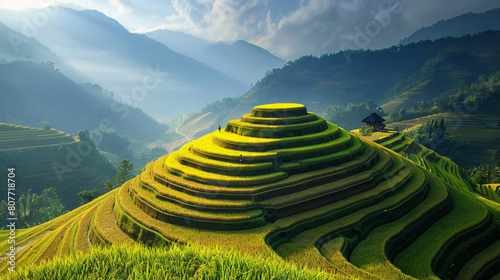 Beautiful rice field terrace in Indonesia