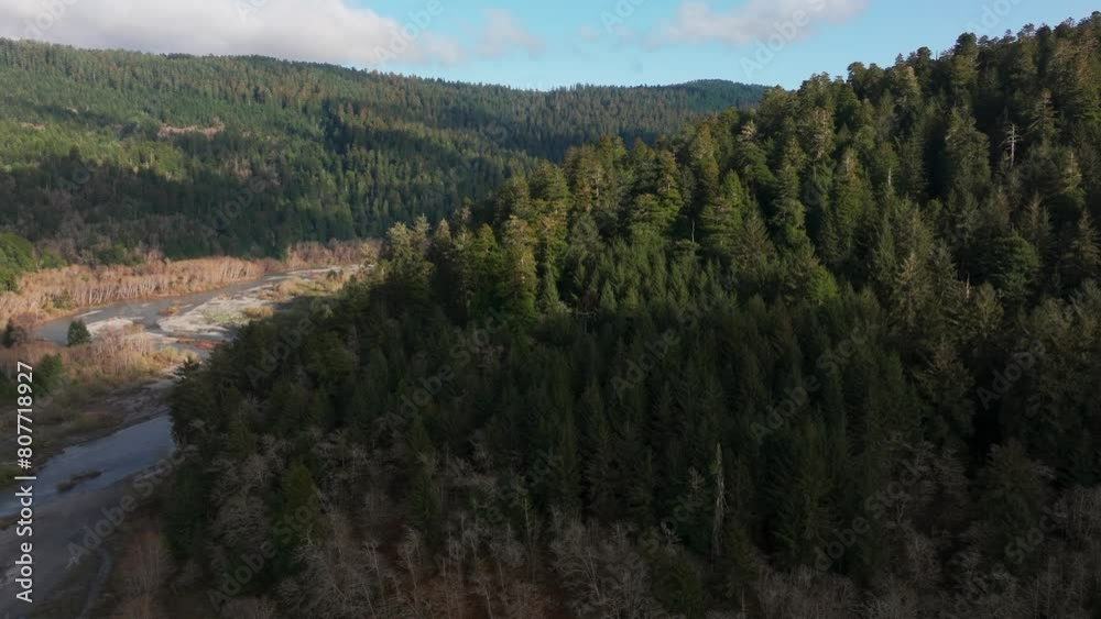 Drone shot flying over a forest of redwood trees in northern California Drone shot flying over a forest of redwood trees in northern California