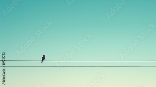 A lone bird perched on a wire against a clear blue sky. © Usman