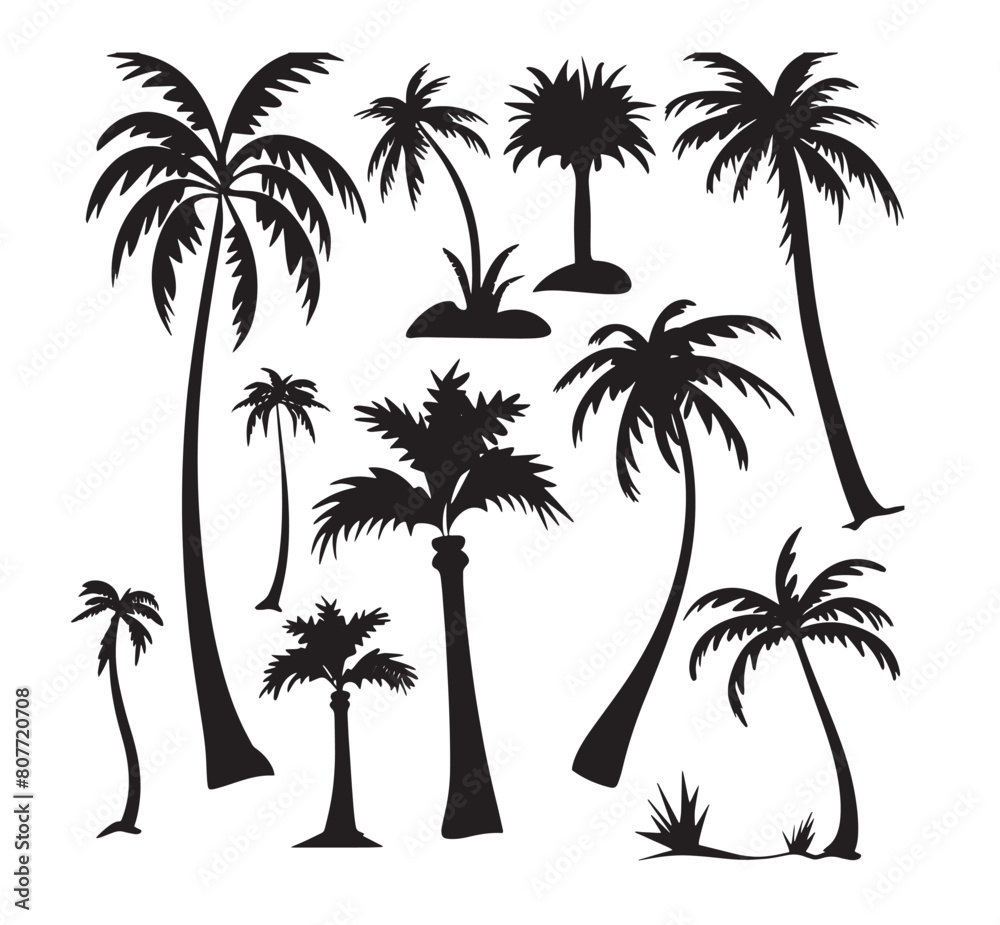 Diverse Silhouetted Palm Trees Set