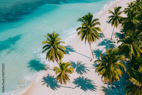 Coastline at tropical beach with palms and turquoise ocean   summertime banner mockup. Summer travel sales and vacation concept.