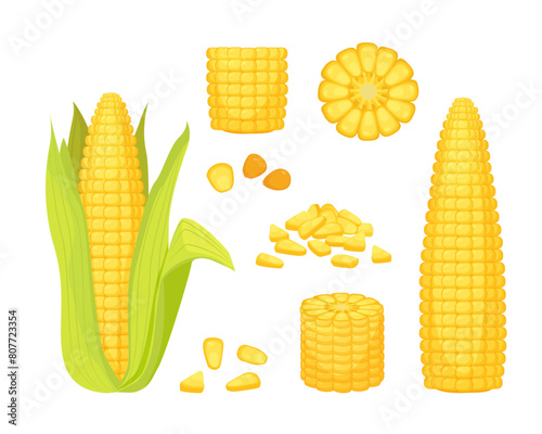 corn. golden corn, natural vegetables bunch of corns collection, summer farm harvest vegetation, healthy yellow organic corns set. vector cartoon set of isolated objects.