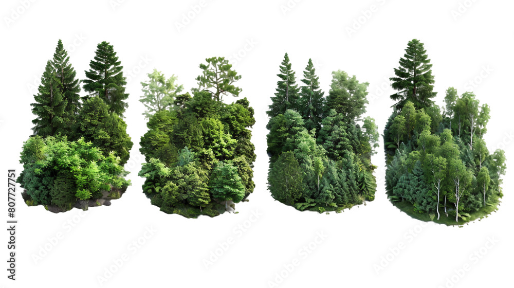 Fototapeta premium Different trees isolated on white PNG transparent background