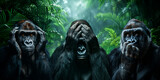 Three Wise Monkeys (Gorillas) - The three wise monkeys are a Japanese pictorial maxim, embodying the proverbial principle 