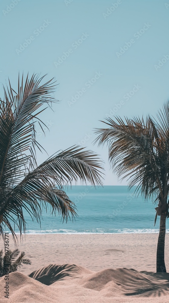 Tropical Beach with Palm Trees with blue sky , vacation concept