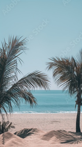 Tropical Beach with Palm Trees with blue sky   vacation concept