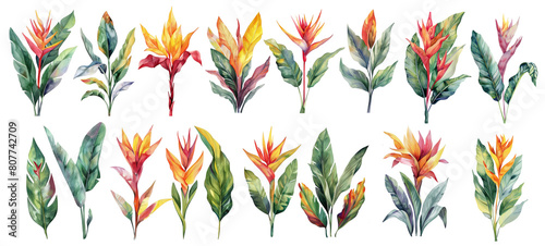 Set of watercolor tropical leaves and flowers isolated on transparent background.
