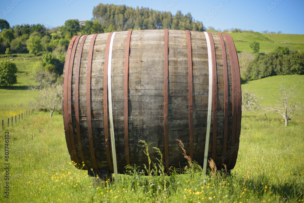 Obraz premium Tonel de madera para sidra en pradera verde
