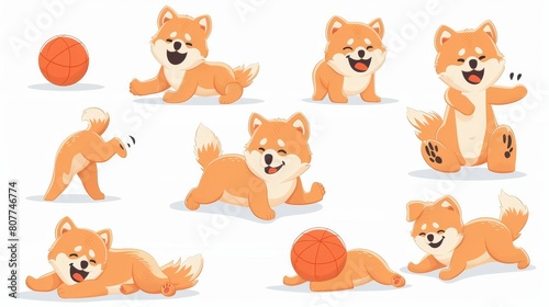 Various poses of happy shiba inu cartoon characters. Japanese dog stand, lie, play with ball, sit. Modern line art illustration, color and monochromatic.