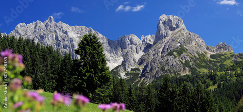 Große und kleine Bischofsmütze, Bergmassiv, Gosaukamm, Dachsteinmassiv, Filzmoos, Salzburg, Österreich, Panorama  photo